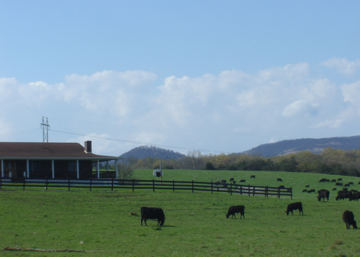 Moran Fairview Farms